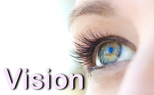 Our Vision